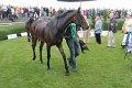 Bult VGH2011   080